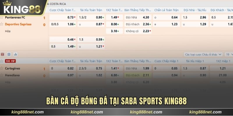 Saba Sports King88 Mang Đến Kho 999+ Kèo Có Thưởng Khủng Bàn cá độ bóng đá tại Saba Sports King88
