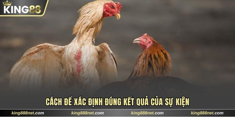 Đá Gà Trực Tiếp Và Lợi Thế Đáng Chú Ý Khi Chơi Online 2025 Cách để xác định đúng kết quả của sự kiện
