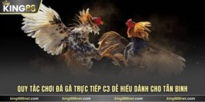 Đá gà trực tiếp C3