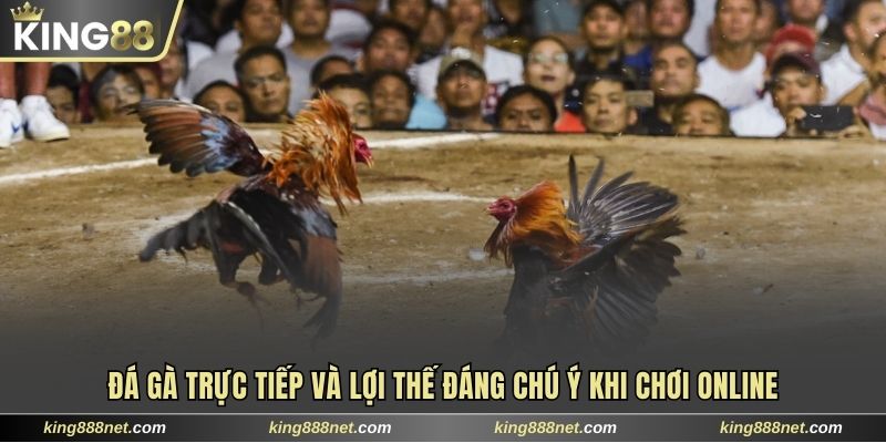 Đá Gà Trực Tiếp Và Lợi Thế Đáng Chú Ý Khi Chơi Online 2025 đá gà trực tiếp