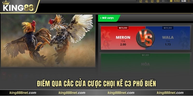 Quy Tắc Chơi Đá Gà Trực Tiếp C3 Dễ Hiểu Dành Cho Tân Binh Điểm qua các cửa cược chọi kê C3 phổ biến