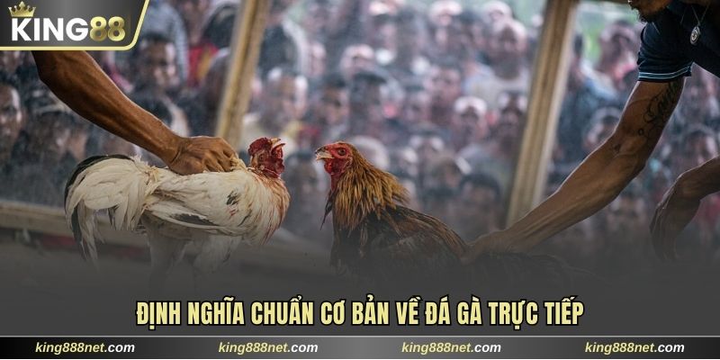 Đá Gà Trực Tiếp Và Lợi Thế Đáng Chú Ý Khi Chơi Online 2025 Định nghĩa chuẩn cơ bản về đá gà trực tiếp
