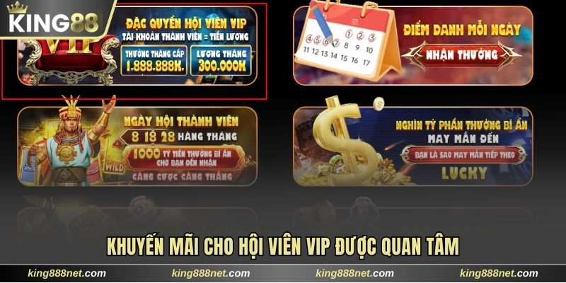 Khuyến mãi cho hội viên Vip được quan tâm