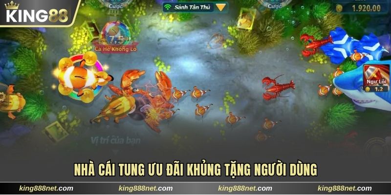 Nhà cái tung ưu đãi khủng tặng người dùng