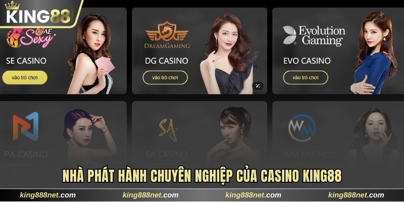 Nhà phát hành chuyên nghiệp của Casino King88