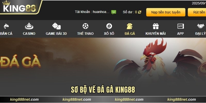 Tìm hiểu bộ môn đá gà King88